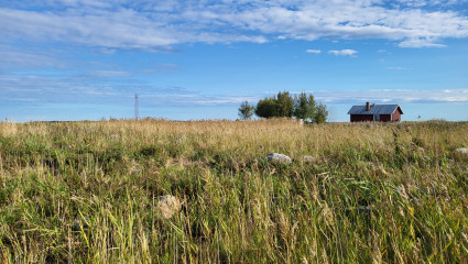Skärgårdsvy. Saaristomaisema.