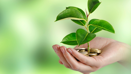 En hand håller mynt ur vilka en grön planta växer, som symbol för hållbara investeringar och tillväxt. Kädessä olevien kolikoiden joukosta kasvaa vihreä taimi, joka symboloi kestäviä investointeja ja kasvua.
