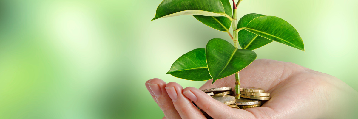En hand håller mynt ur vilka en grön planta växer, som symbol för hållbara investeringar och tillväxt. Kädessä olevien kolikoiden joukosta kasvaa vihreä taimi, joka symboloi kestäviä investointeja ja kasvua.