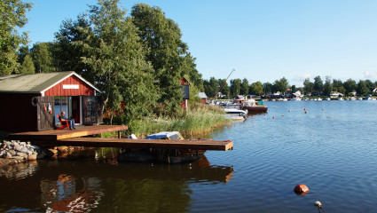 Sommarmiljö. Kesämaisema.