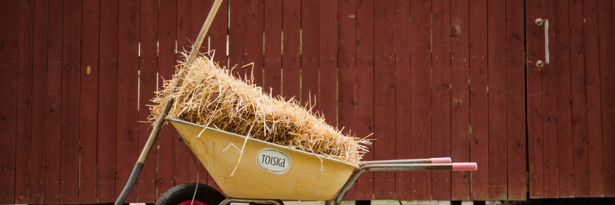 Skottskärra med hö. Kottikärry, jossa heiniä. 